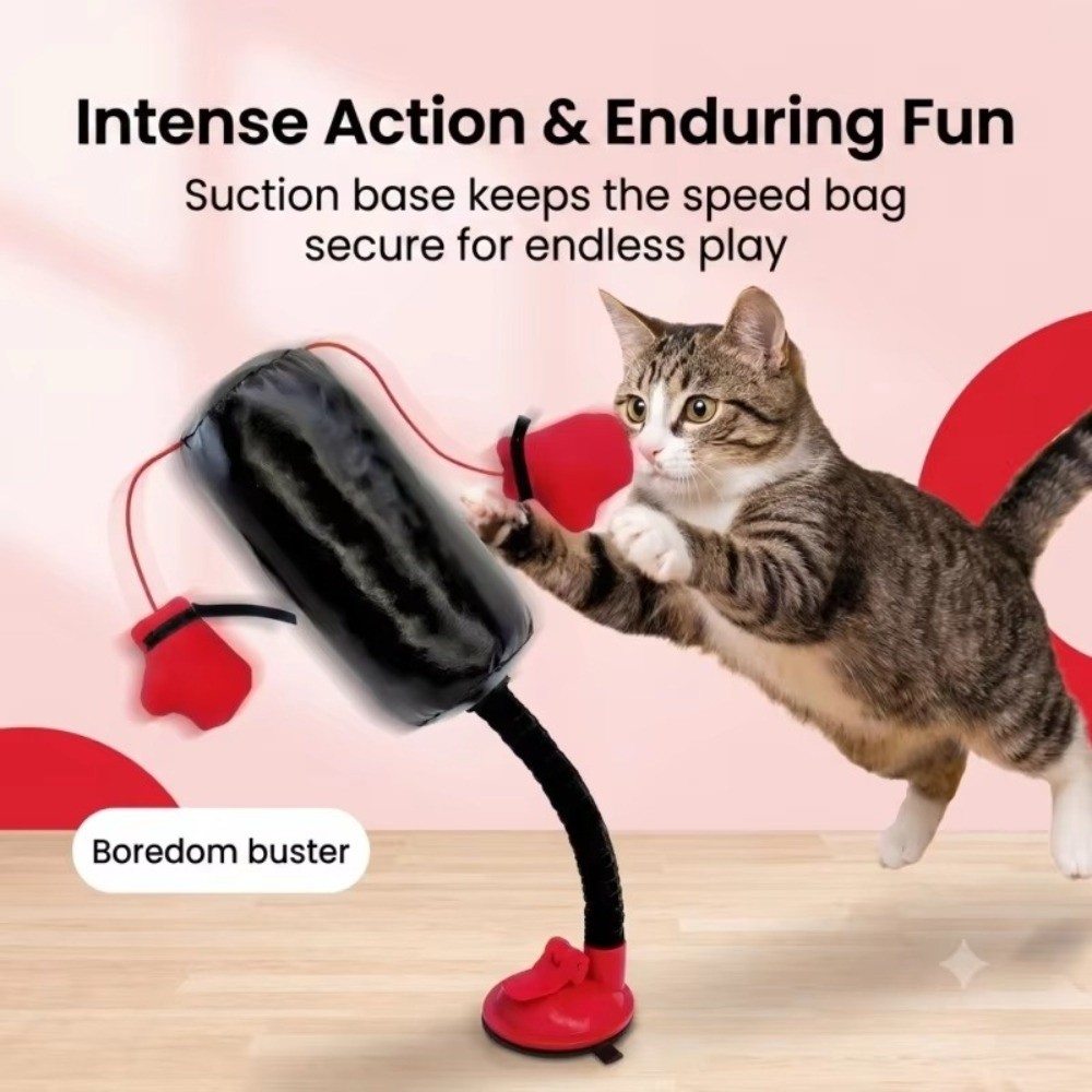 Suction Cup Base Cat Boxing To - огляд і ціна Boxing Bag Stand