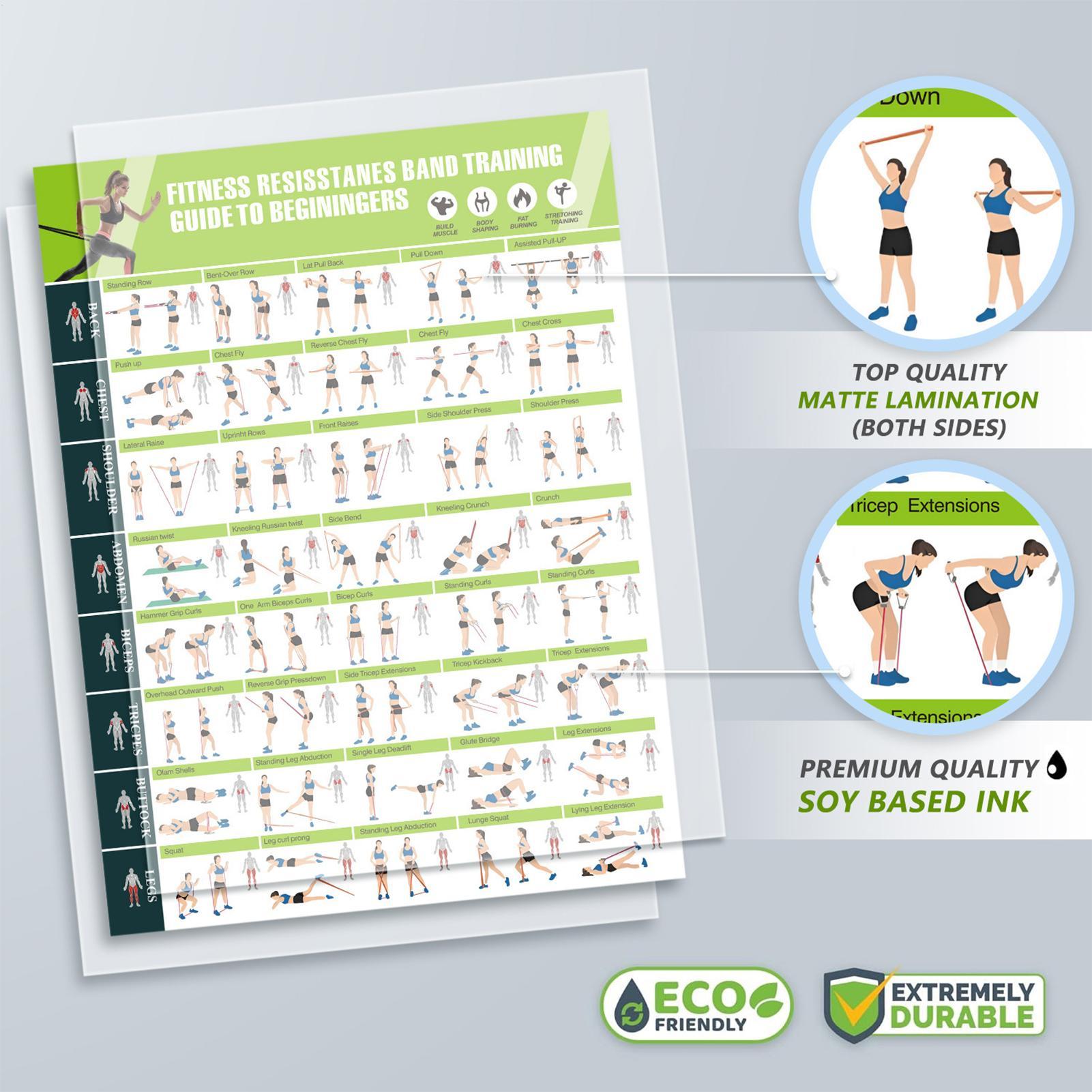 Workout Posters with Resistanc - огляд і ціна Home Gym Guide