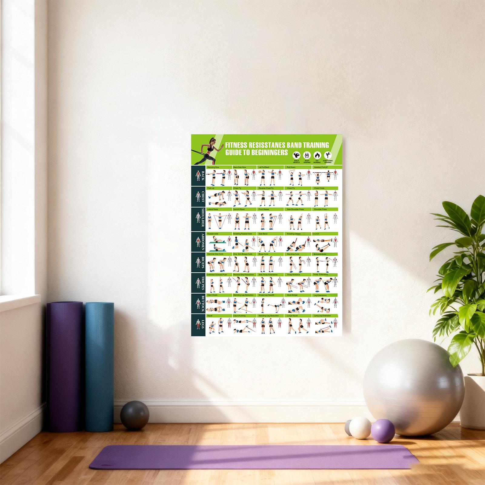 Workout Posters with Resistanc - огляд і ціна Home Gym Guide