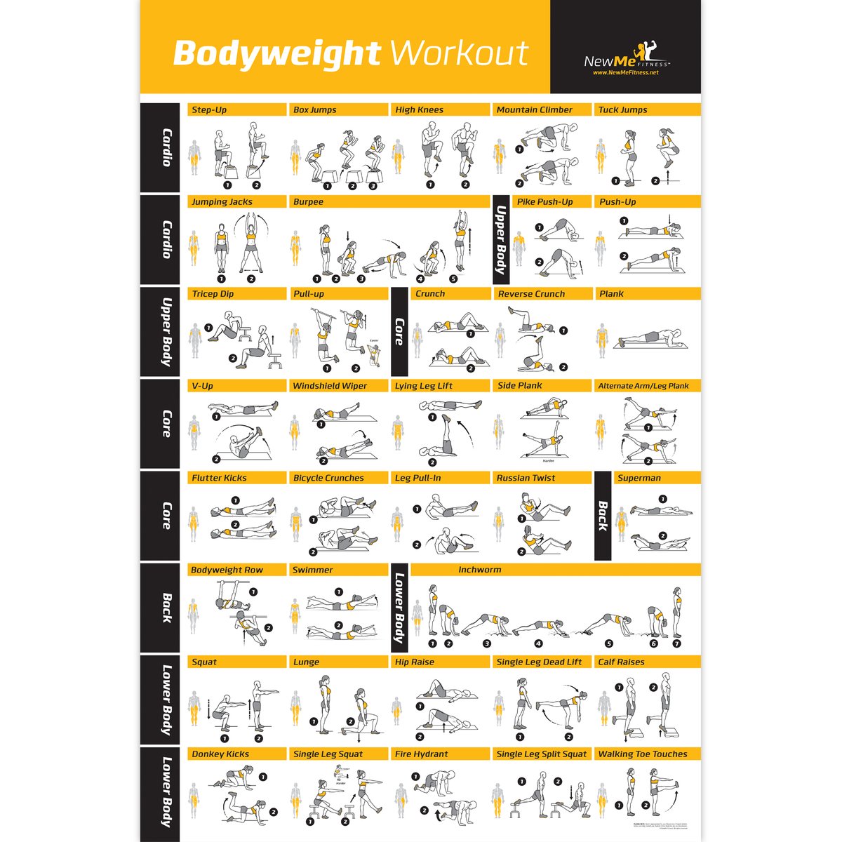 Bodyweight workout Exercise Bo - огляд і ціна Home Gym Guide