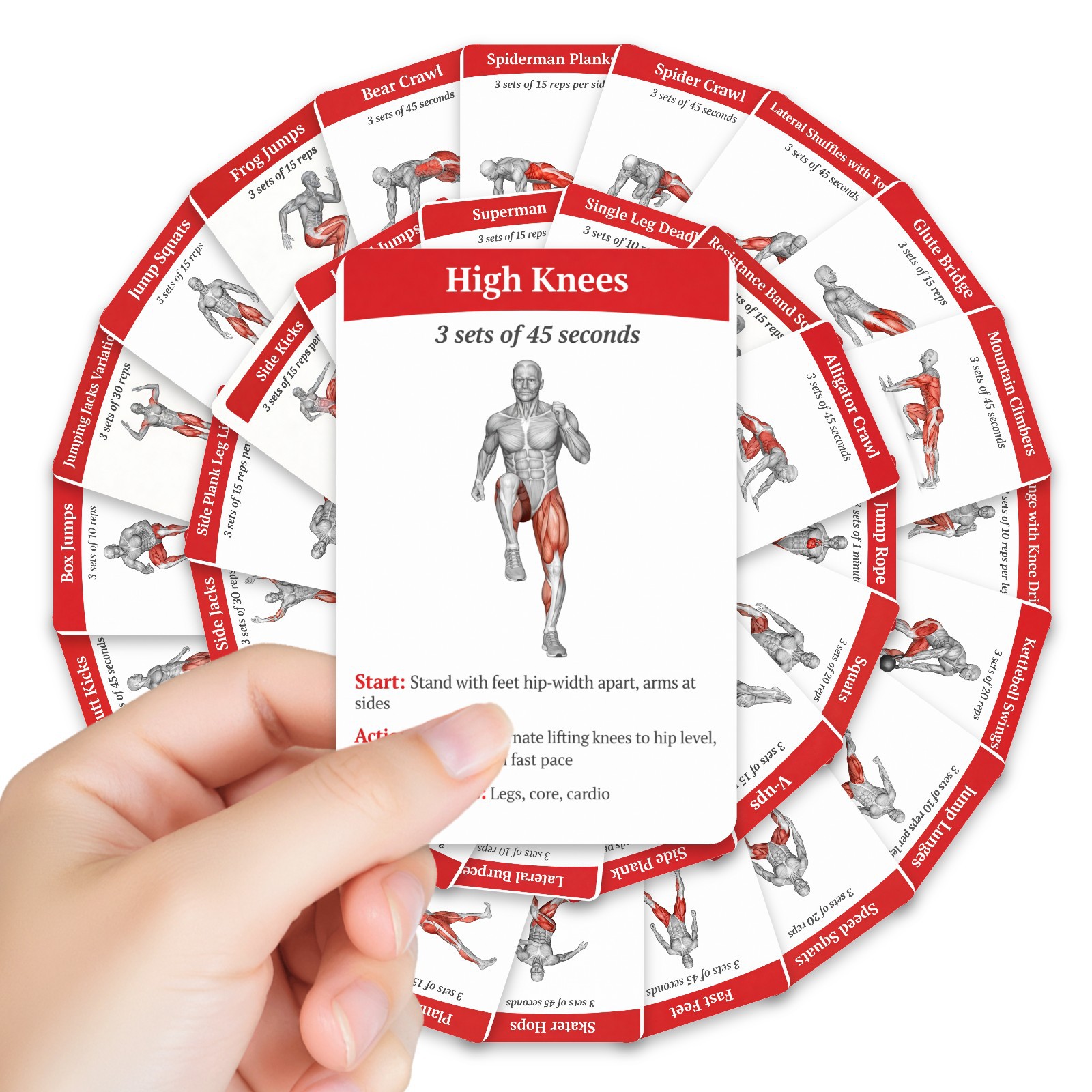 36Pcs Full Body Fat Burning Wo - огляд і ціна Home Gym Guide