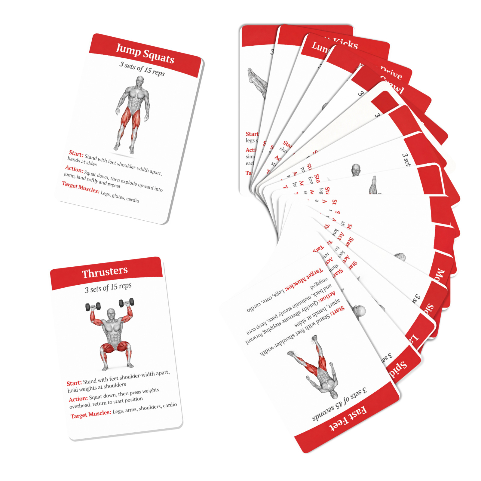 36Pcs Full Body Fat Burning Wo - огляд і ціна Home Gym Guide